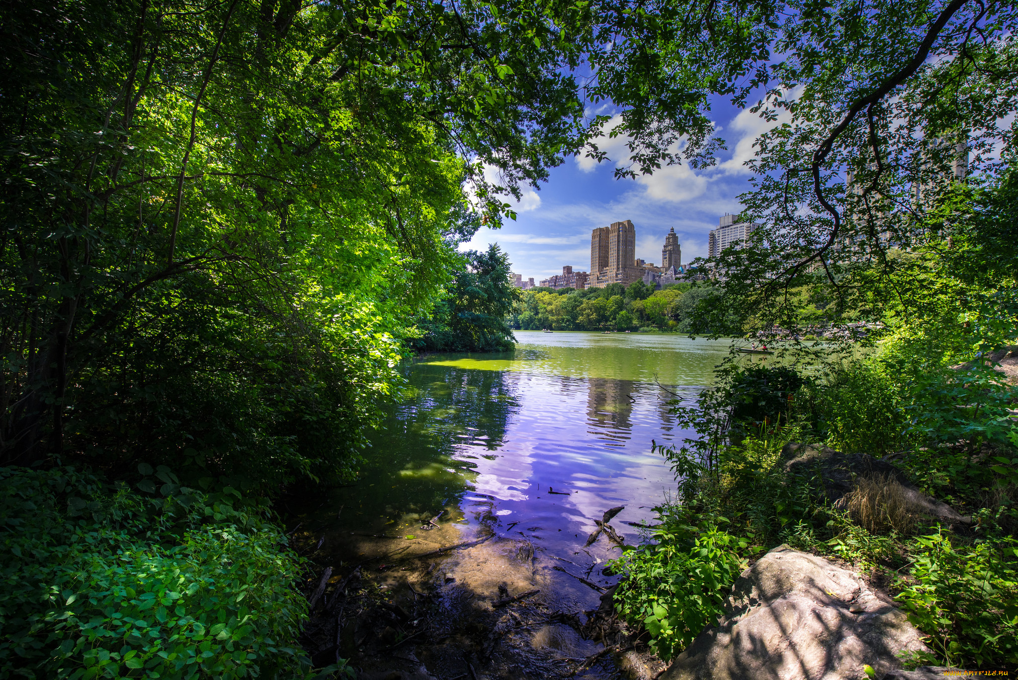 central park - new york city, , - , , 